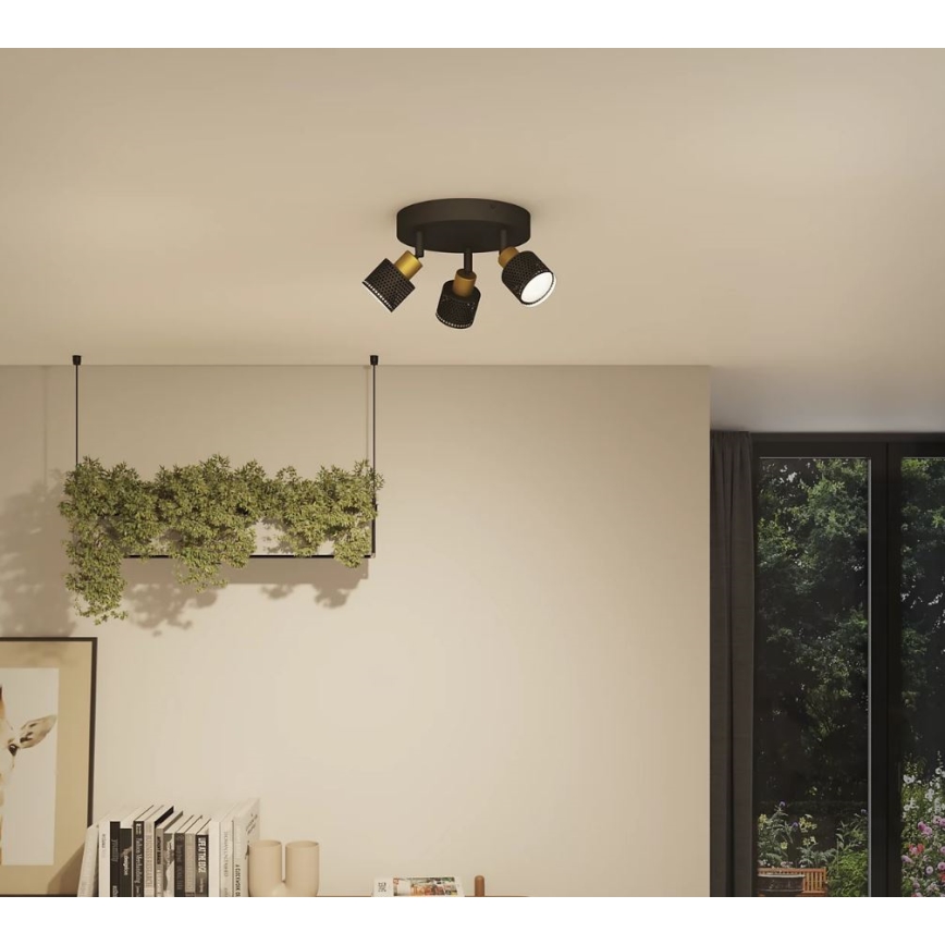 Philips - Точковий світильник NIALL 3xGU10/5W/230V чорний/латунь
