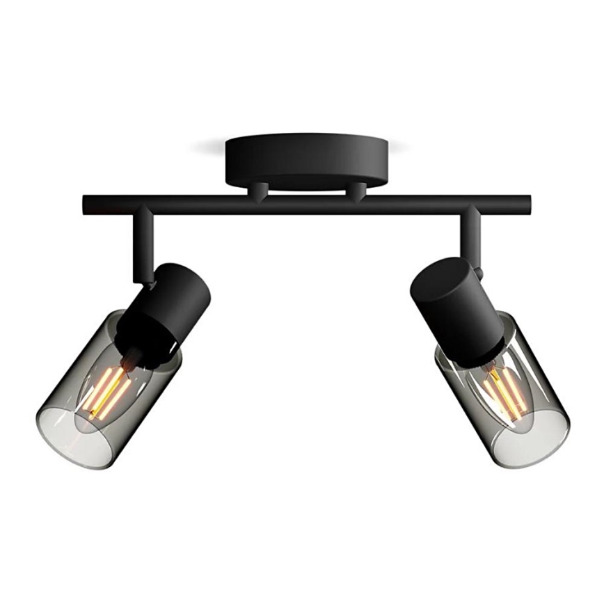 Philips - Точковий світильник PALMS 2xE14/25W/230V