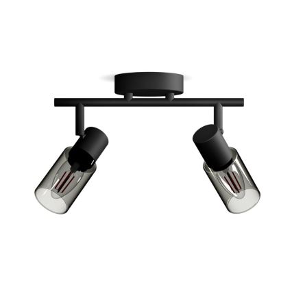 Philips - Точковий світильник PALMS 2xE14/25W/230V