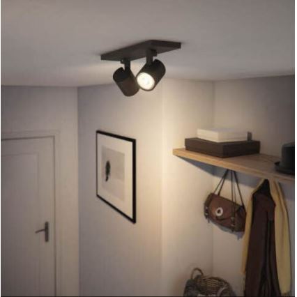 Philips - Точковий світильник RUNNER 2xGU10/20W/230V чорний