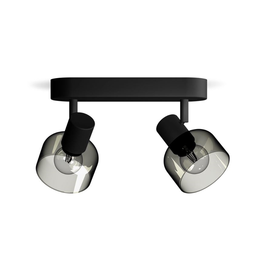 Philips - Точковий світильник SLEET 2xE14/25W/230V