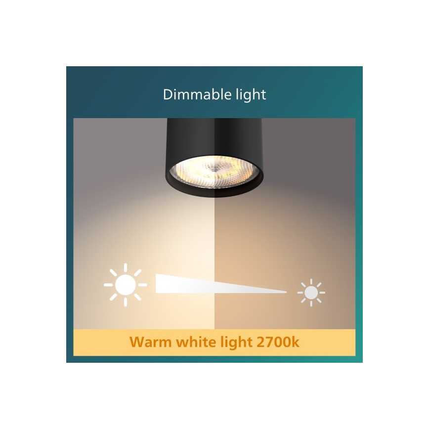 Philips - Точковий LED світильник з регулюванням яскравості 2xLED/4,5W/230V