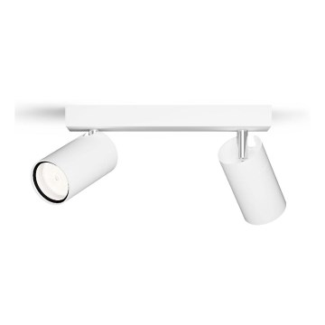 Philips - Точковий світильник для ванної кімнати IDRIS 2xGU10/5W/230V IP44 білий