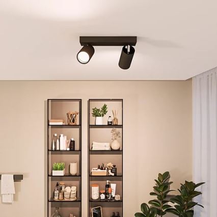 Philips - Точковий світильник для ванної кімнати IDRIS 2xGU10/5W/230V IP44 чорний