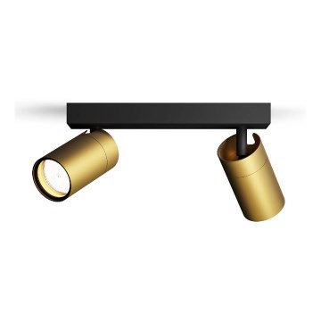 Philips - Точковий світильник для ванної кімнати IDRIS 2xGU10/5W/230V IP44 чорний/золотий