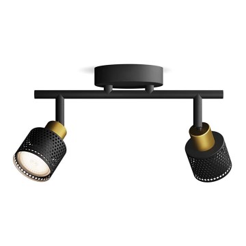 Philips - Точковий світильник NIALL 2xGU10/5W/230V чорний/латунь