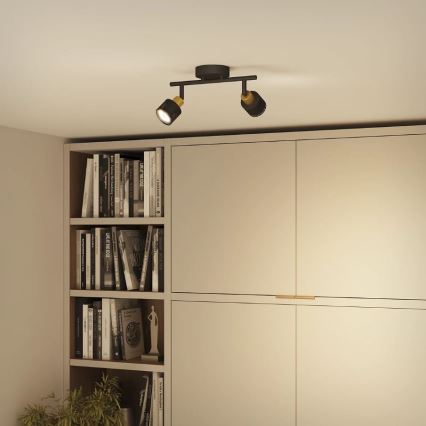 Philips - Точковий світильник NIALL 2xGU10/5W/230V чорний/латунь