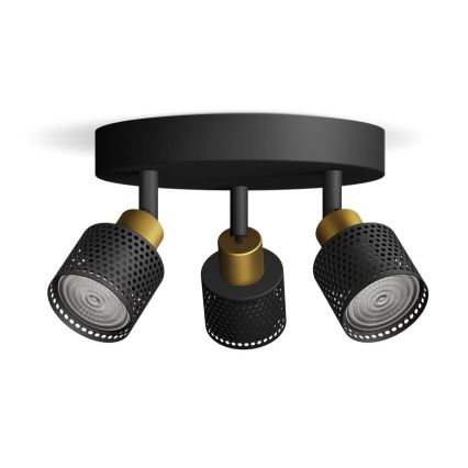 Philips - Точковий світильник NIALL 3xGU10/5W/230V чорний/латунь