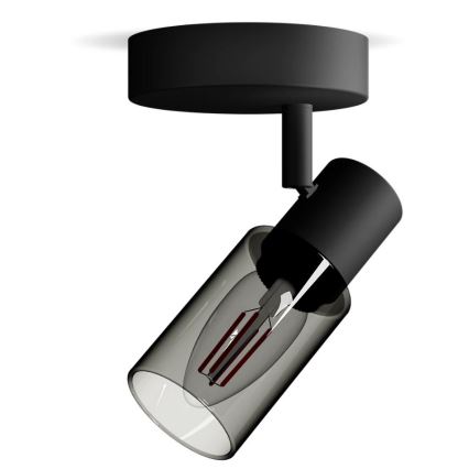 Philips - Точковий світильник PALMS 1xE14/25W/230V