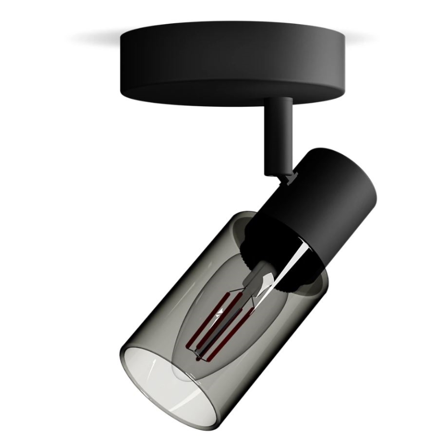 Philips - Точковий світильник PALMS 1xE14/25W/230V