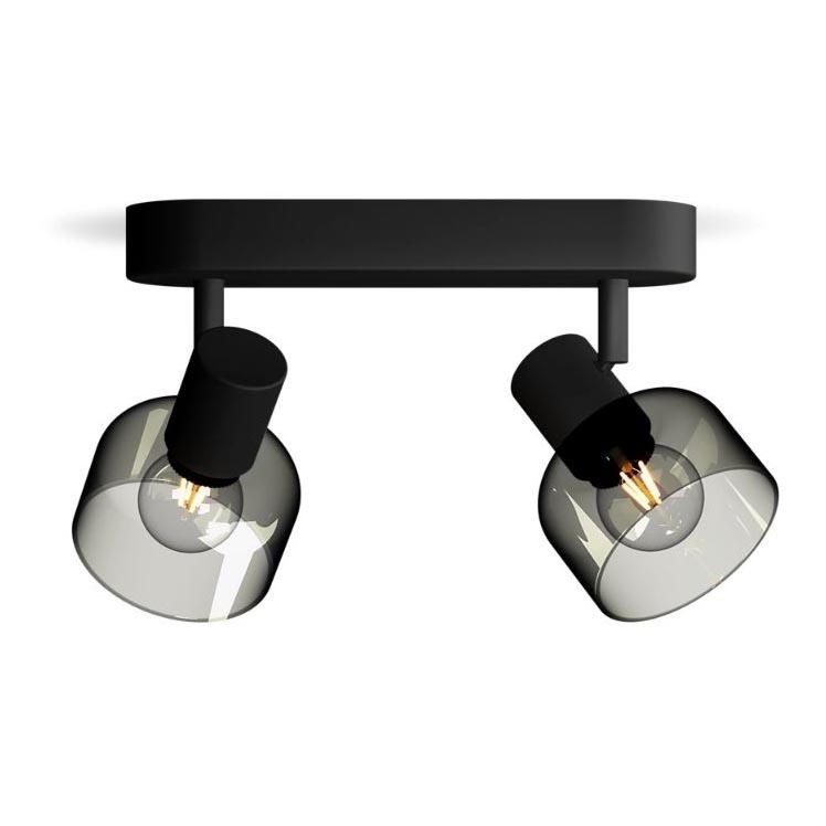 Philips - Точковий світильник SLEET 2xE14/25W/230V
