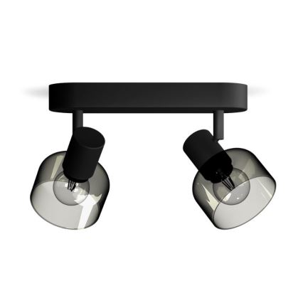 Philips - Точковий світильник SLEET 2xE14/25W/230V