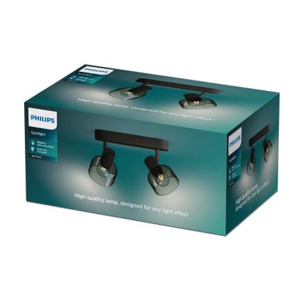 Philips - Точковий світильник SLEET 2xE14/25W/230V