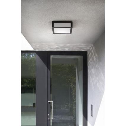 Philips - Уличный потолочный светильник SKIES 2xE27/14W/230V IP44 антрацит
