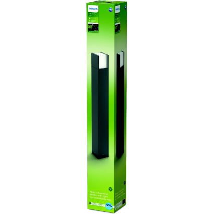 Philips - Вулична світлодіодна лампа LED/3,8W/230V 77 см 3000K IP44