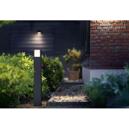 Philips - Вулична світлодіодна лампа ARBOUR LED/3,8W/230V 77 см 2700K IP44