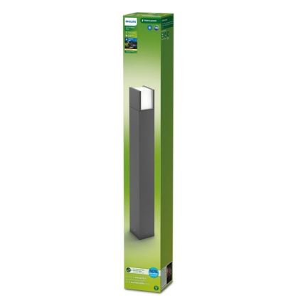 Philips - Вулична світлодіодна лампа ARBOUR LED/3,8W/230V 77 см 2700K IP44
