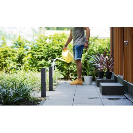 Philips - Вулична світлодіодна лампа STRATOSPHERE LED/3,8W/230V 42 см 4000K IP44