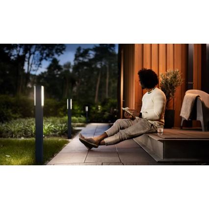 Philips - Вулична світлодіодна лампа STRATOSPHERE LED/3,8W/230V 77 см 2700K IP44
