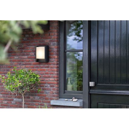 Philips - Вуличний світлодіодний настінний світильник ARBOUR LED/3,8W/230V 2700K IP44