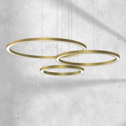 Підвісна LED люстра GALAXIA LED/85W/230V золотий