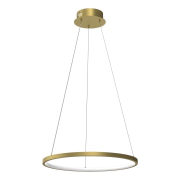 Підвісна LED люстра ROTONDA LED/27W/230V золотий