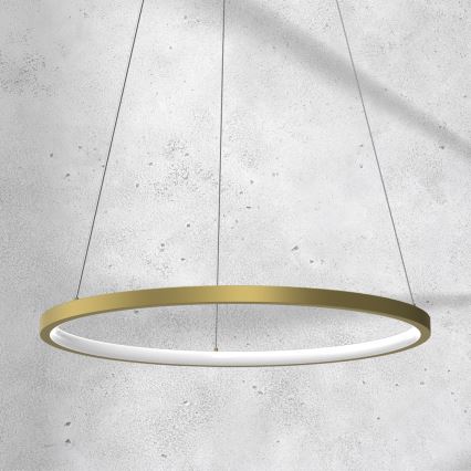 Підвісна LED люстра ROTONDA LED/27W/230V золотий