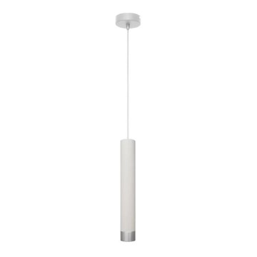 Підвісна LED люстра TUBA 1xGU10/4,8W/230V білий/матовий хром