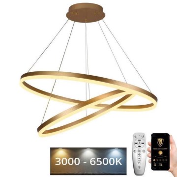 Підвісна LED люстра з регулюванням яскравості LED/100W/230V 3000-6500K + пульт дистанційного керування