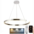 Підвісна LED люстра з регулюванням яскравості LED/100W/230V 3000-6500K + пульт дистанційного керування