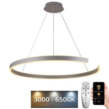Підвісна LED люстра з регулюванням яскравості LED/100W/230V 3000-6500K + пульт дистанційного керування