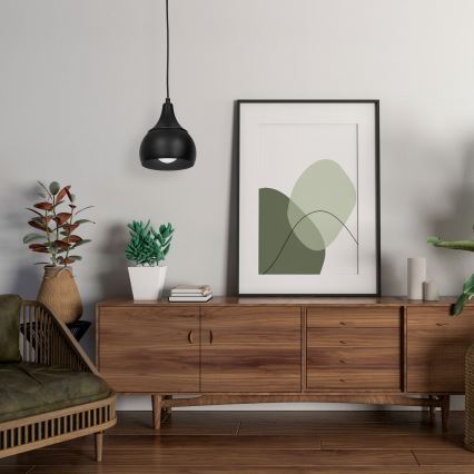 Підвісна люстра AKTAN 1xE27/60W/230V чорний