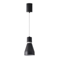 Підвісна люстра AVALON 1xE27/60W/230V