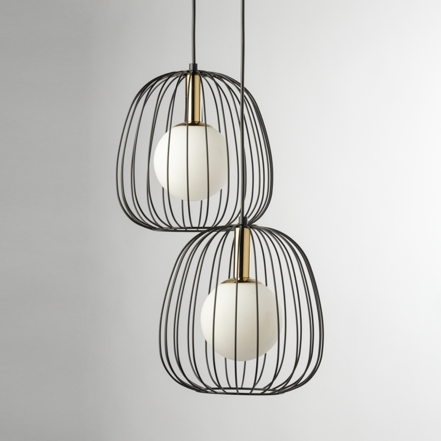 Підвісна люстра BELL 2xG9/12W/230V чорний/золотий