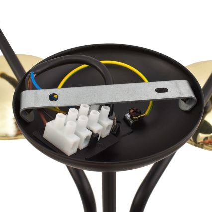 Підвісна люстра CARINA 5xE14/40W/230V