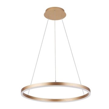 Підвісна люстра DONA LED/32W/230V ø 40 см
