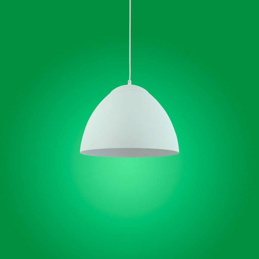 Підвісна люстра FARO 1xE27/60W/230V білий