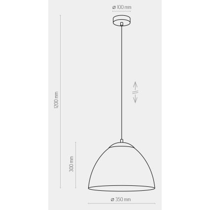 Підвісна люстра FARO 1xE27/60W/230V чорний