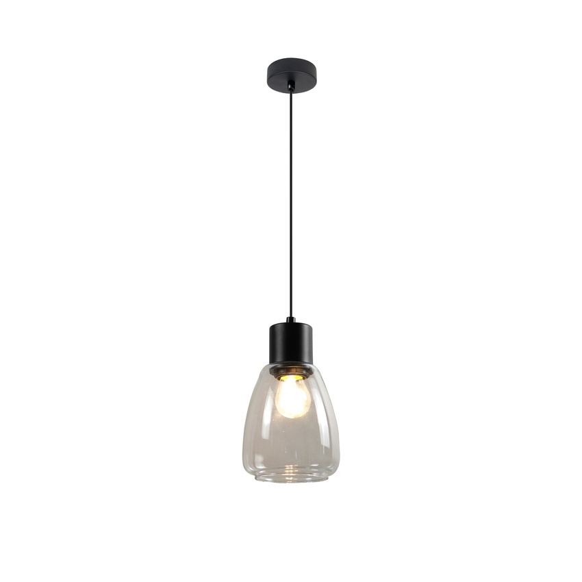 Підвісна люстра MOLDO 1xE27/40W/230V чорний/прозорий