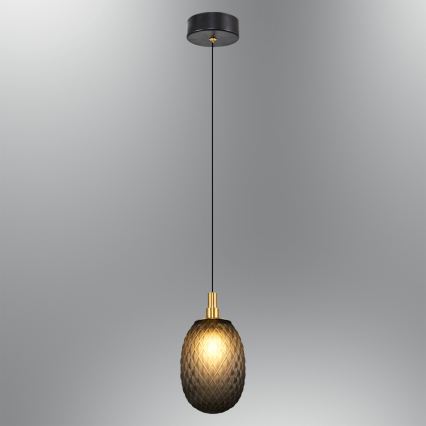 Підвісна люстра на тросі CACTUS 1xG9/5W/230V чорна