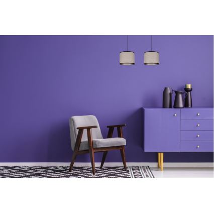 Підвісна люстра NEXO 2xE27/60W/230V