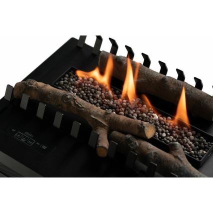Planika - Біокамін з пультом дистанційного керування 20,8x38,5 см 2,5kW/230V чорний