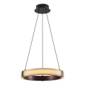 Подвесная LED-люстра на тросе JESI LED/2W/230V 3000K коричневая