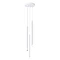Подвесная люстра ARCHE 3xG9/8W/230V белый