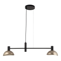 Подвесная люстра ARTIS 2xE14/40W/230V черный/золотистый