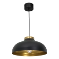 Подвесная люстра BASCA 1xE27/60W/230V черная/золотая