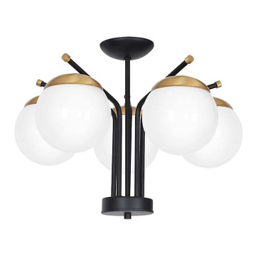 Подвесная люстра CARINA 5xE14/40W/230V черная