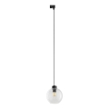Подвесная люстра для 1-фазной трековой системы CUBUS 1xE27/15W/230V черный/прозрачный