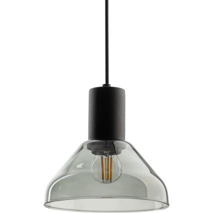 Подвесная люстра для 1-фазной трековой системы NEO 1xE27/15W/230V черный/дымчатый черный
