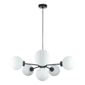 Подвесная люстра KALIOPE 6xE14/50W/230V черный/белый